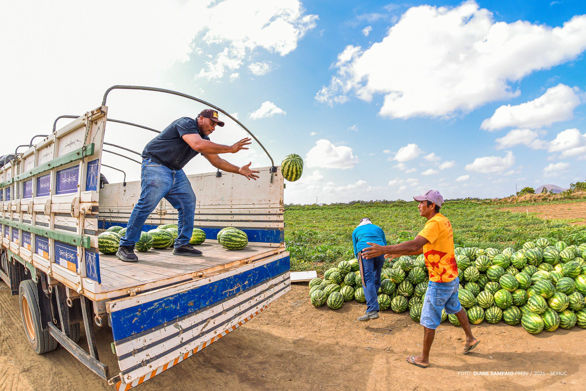 Com apoio da Prefeitura de Boa Vista, agricultores familiares escoam produção e aumentam margem de lucro