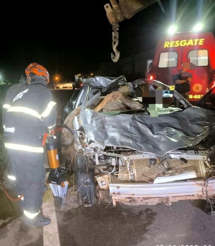 Motorista morre após bater de frente com grupo de cavalos e ficar preso nas ferragens em rodovia de MT