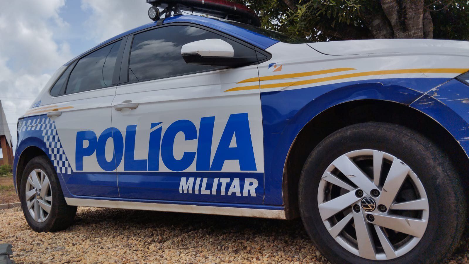 Motociclista morre após atropelar boi que invadiu pista da TO-387