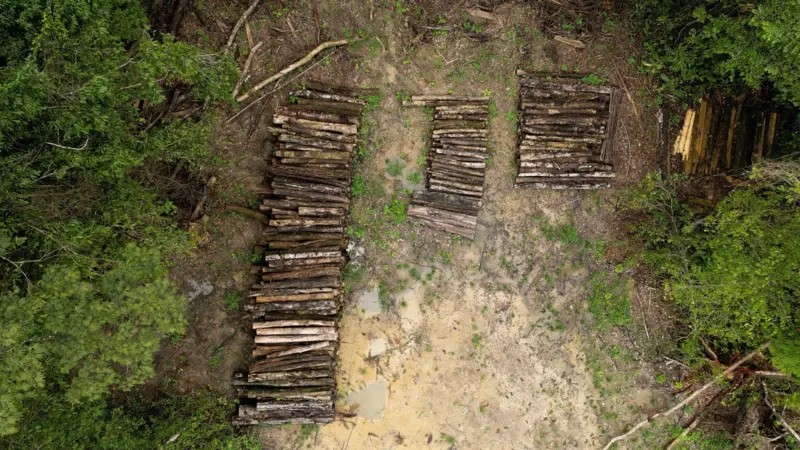 A estrada construída para a COP30 em Belém que vai desmatar a Amazônia
