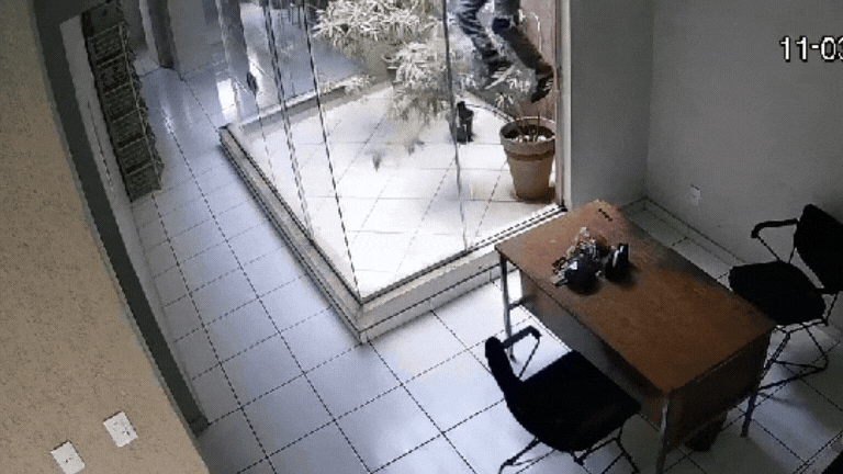 Dona de loja que flagrou ladrão por câmeras de monitoramento e chamou a polícia reclama de insegurança: ‘Tanto de ladrão’