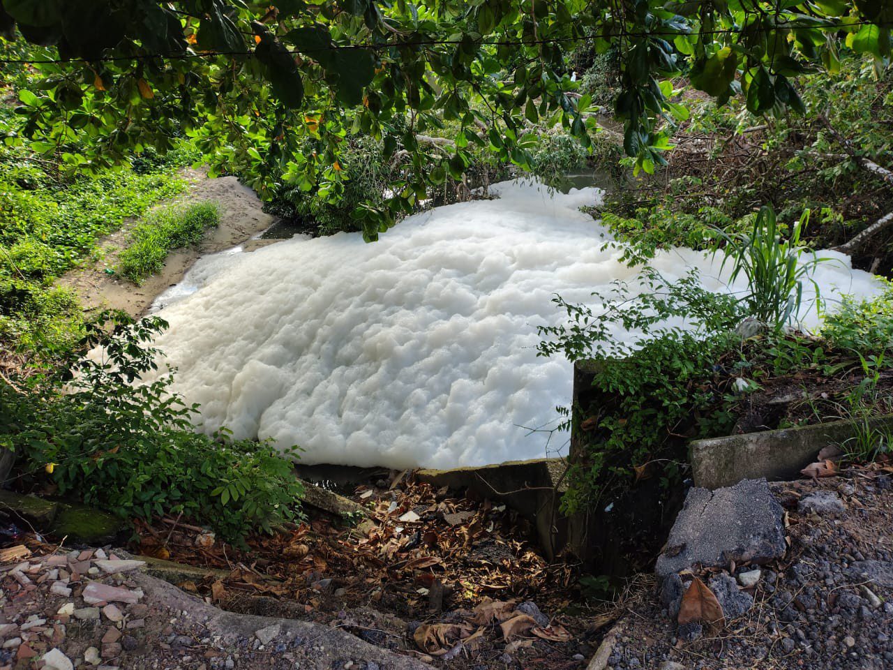 Sudema coleta amostras de água do Rio Jaguaribe, em João Pessoa, após formação de espuma branca