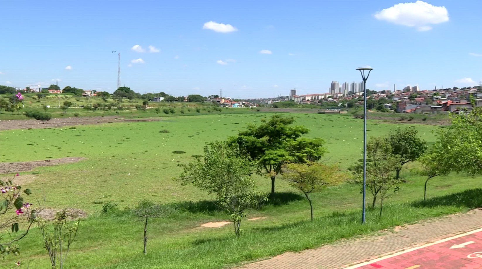 Com problemas recorrentes, lagoa de Hortolândia voltar a ser tomada por aguapés