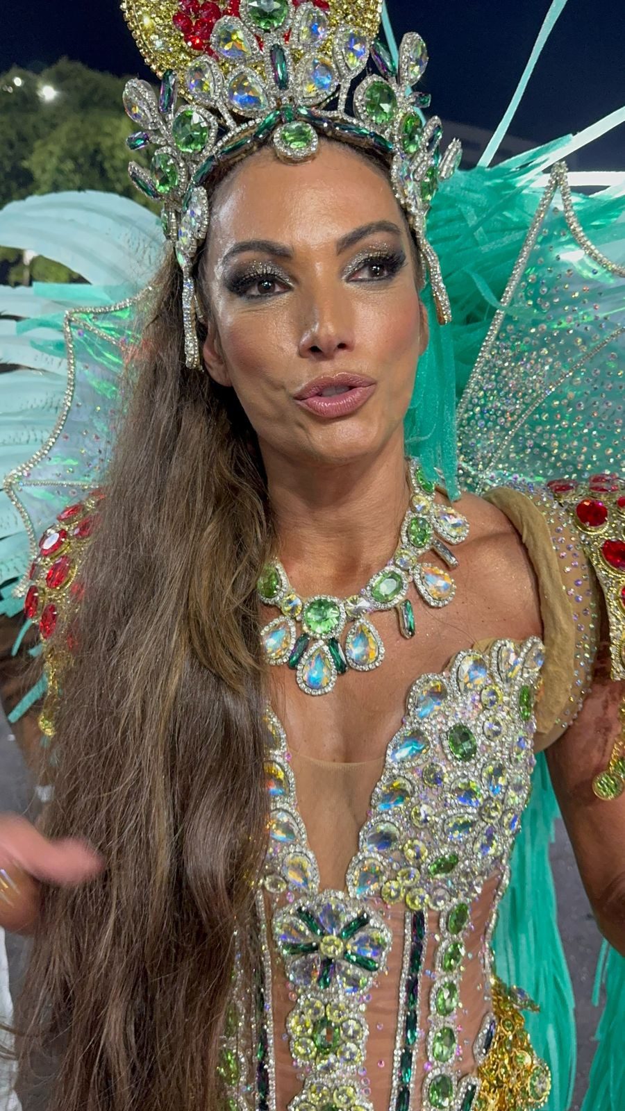 Patrícia Poeta é tietada no setor 1 da Sapucaí