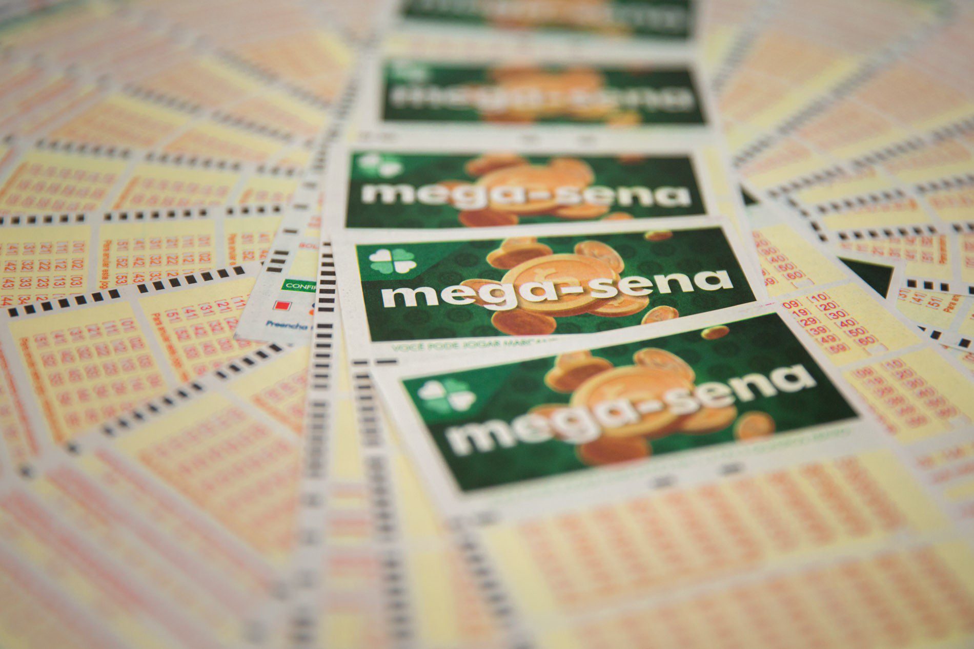 Mega-Sena, concurso 2.835: resultado
