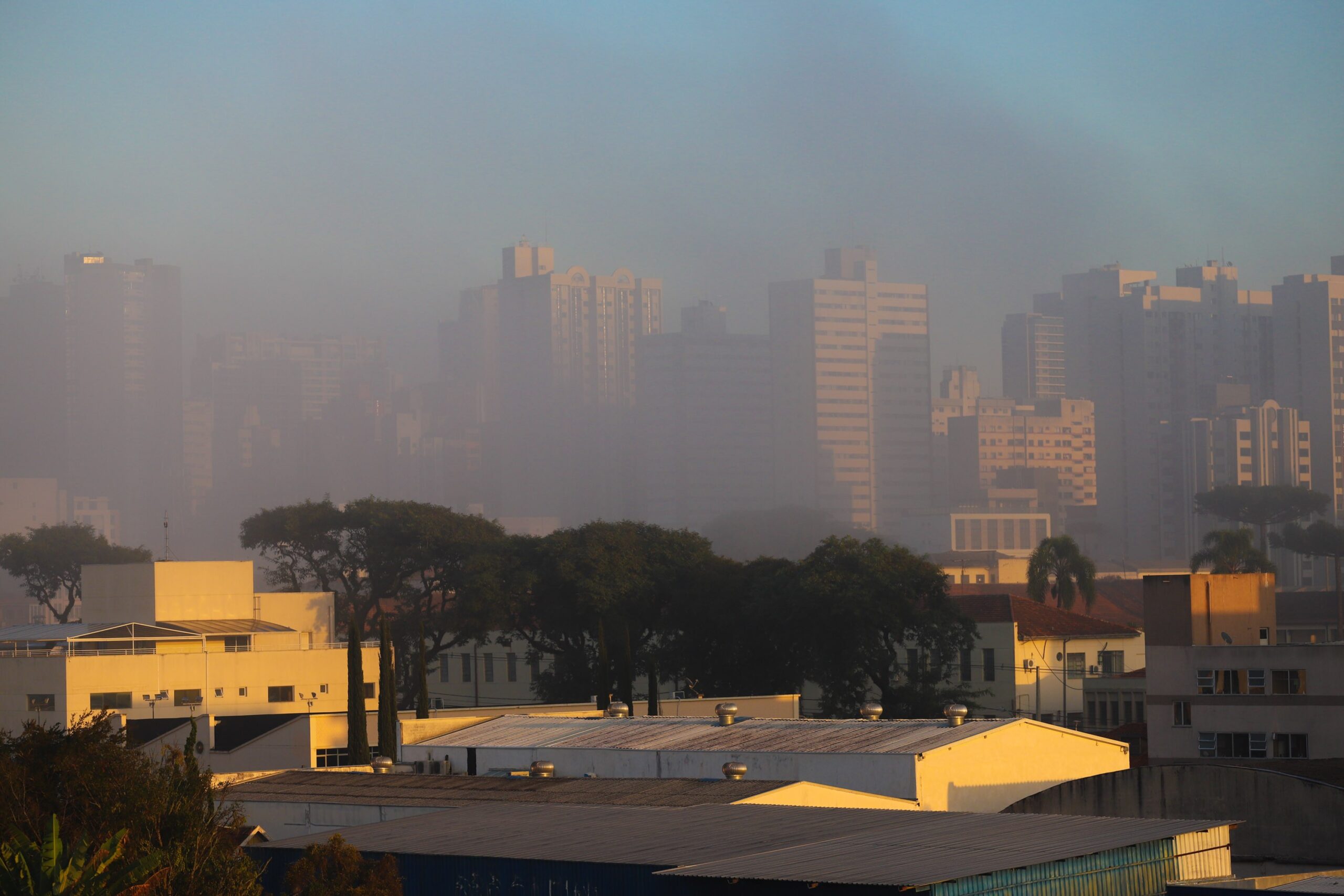 ‘Neblina que baixa, sol que racha?’: entenda fenômeno e porquê nem sempre ditado popular está correto