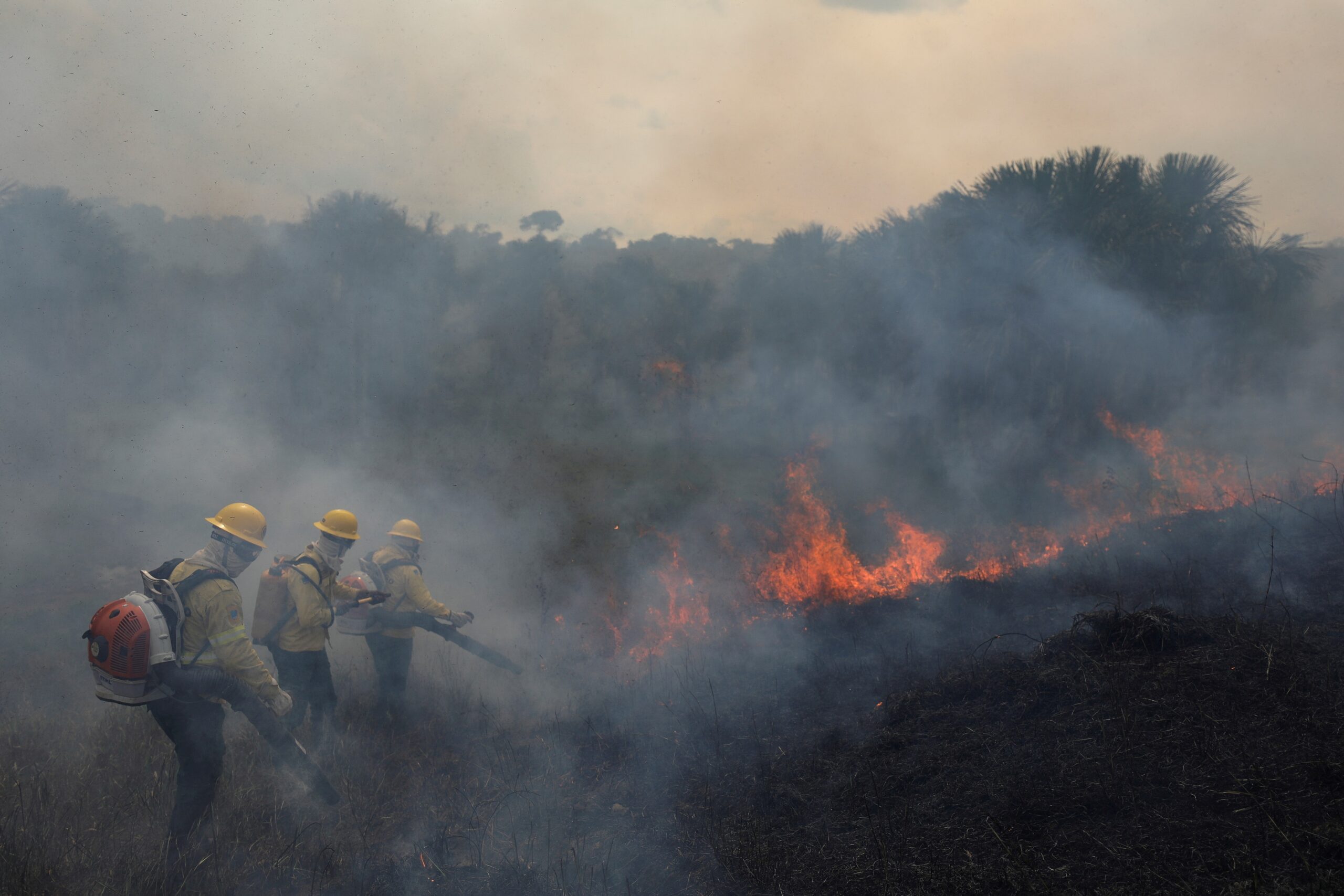 Brasil perdeu 30 milhões de hectares por causa de queimadas em 2024; Amazônia é a mais afetada