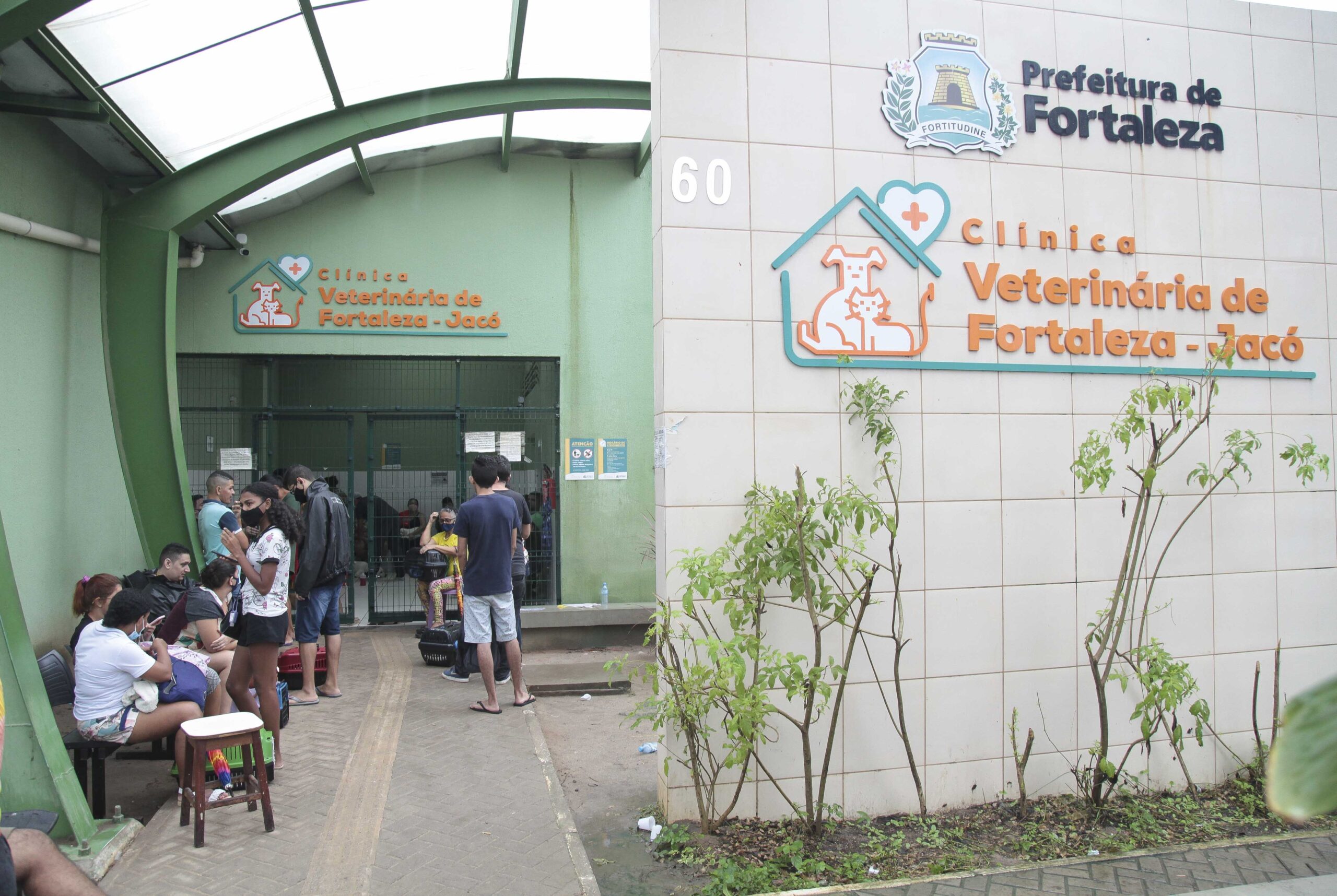 Mutirão gratuito de castração de cães e gatos acontece em Fortaleza; veja como participar