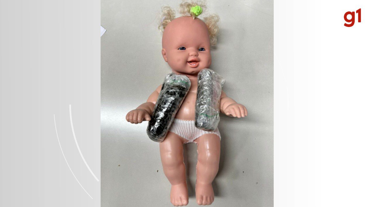 Boneca recheada de haxixe é enviada pelos Correios e droga é apreendida em SC; VÍDEO