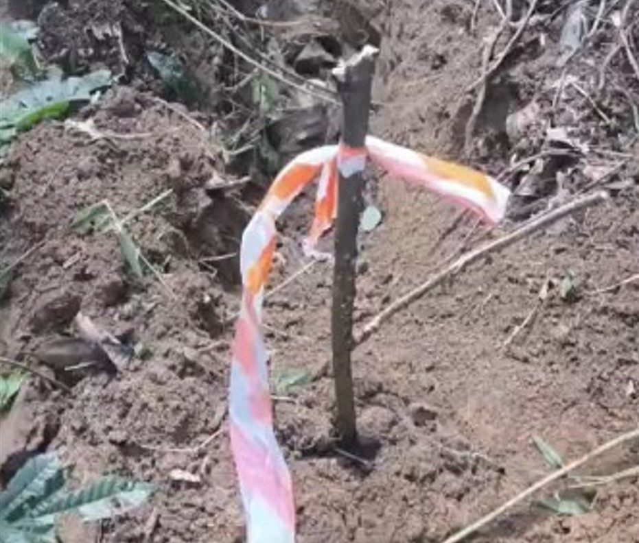Polícia encontra mais ossadas em cemitério clandestino na Zona Sul de São Paulo, localizado em mata próxima da Represa Billings