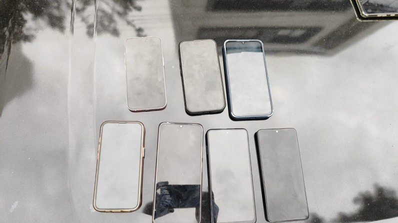 Policiais infiltrados na Parada do Orgulho LGBT+ em SP prendem 8 suspeitos e recuperam 24 celulares