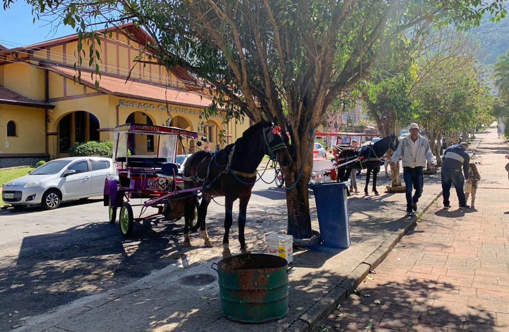 Poços de Caldas retoma discussão sobre fim das charretes de tração animal com novo projeto de lei