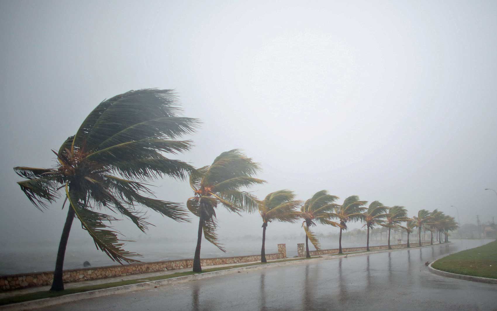 Alerta de vendaval: Inmet prevê ventos fortes de até 60 km/h em 11 cidades da região; veja lista