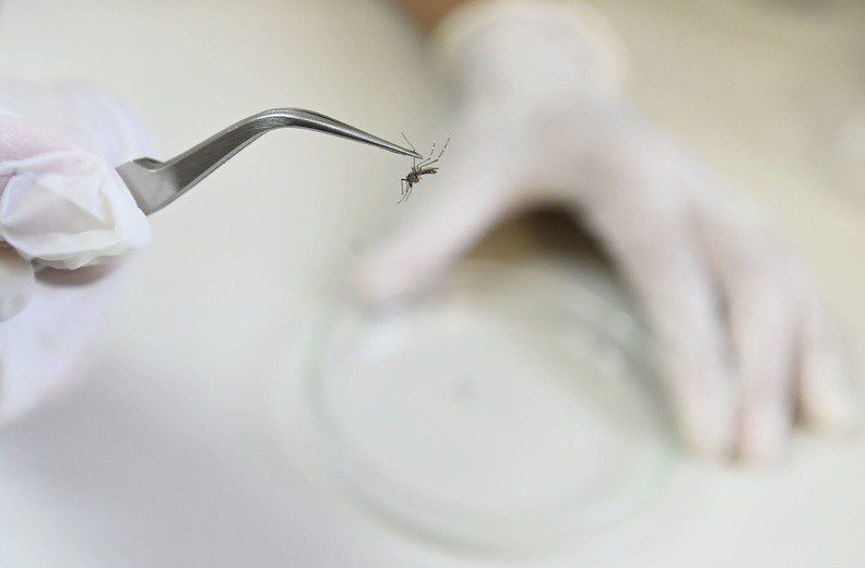 Itapira confirma 1ª morte por dengue em 2025, e região chega a 134 óbitos pela doença no ano