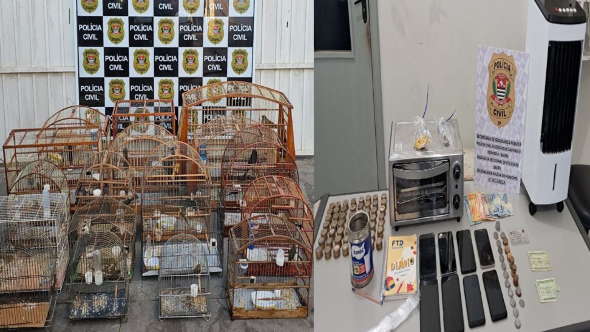 Polícia prende homem e apreende pássaros, drogas e produtos roubados no interior de SP