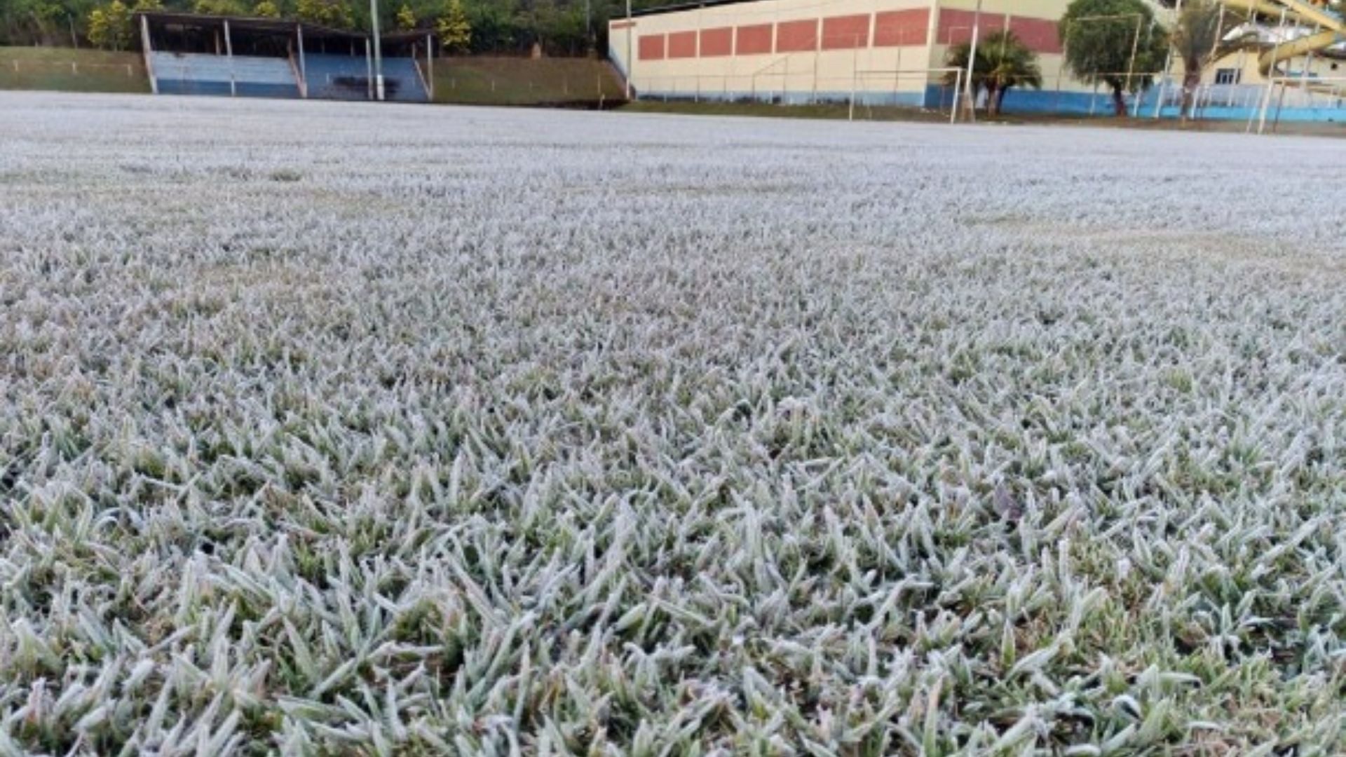 VÍDEO: Frio perto do 0 ºC e geada deixam Tapira com ‘cenário europeu’
