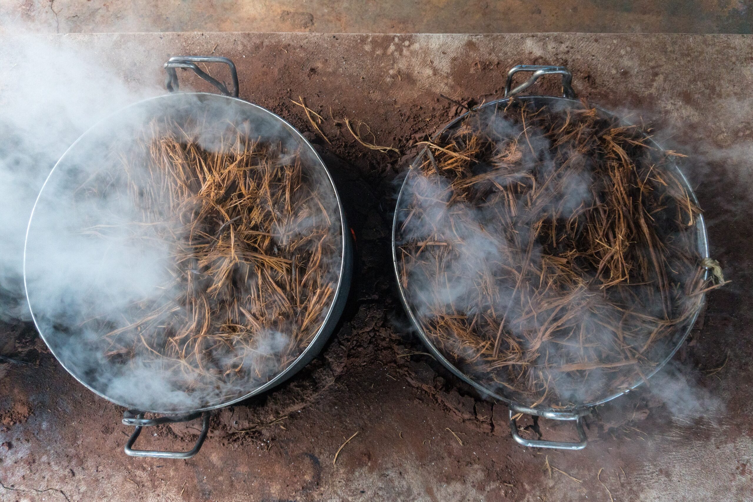 O que é o chá de ayahuasca, ingerido por homem que desapareceu em floresta no Ceará