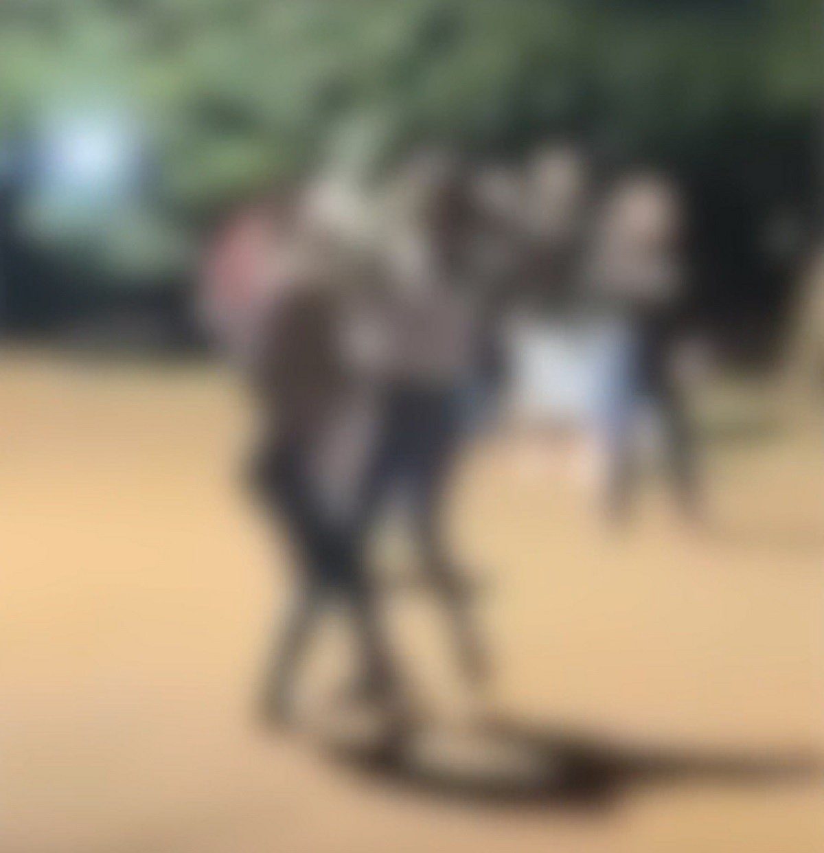 VÍDEO: adolescente é esfaqueada durante briga em saída de escola em MS