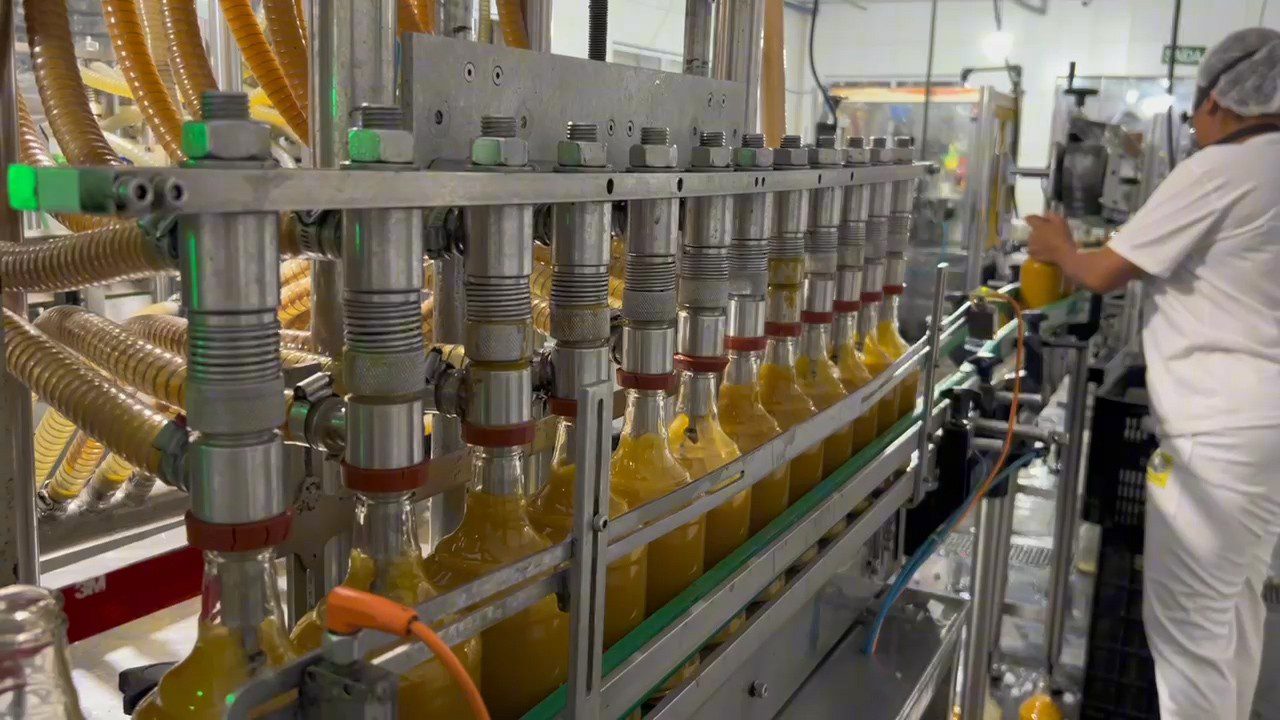 Rota do licor em Cachoeira: associação de produtores promete nova trilha turística na região
