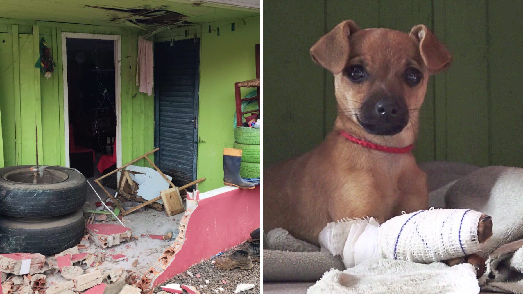 Pneus se soltam de caminhão, invadem varanda de casa, machucam cachorrinha e por pouco não atingem morador, no Paraná: ‘Quando vi, saltei’