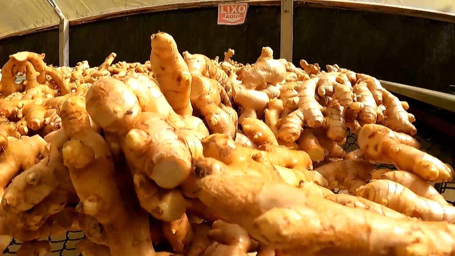 Fundação Procon-SP constata diferenças de preços de quase 130% em produtos de festas juninas em Presidente Prudente