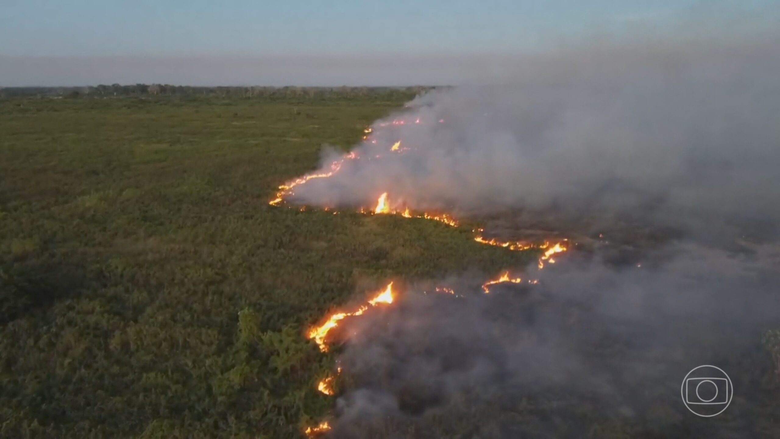 Fogo no Pantanal: chamas consumiram área de 90 mil campos de futebol nos últimos 40 anos