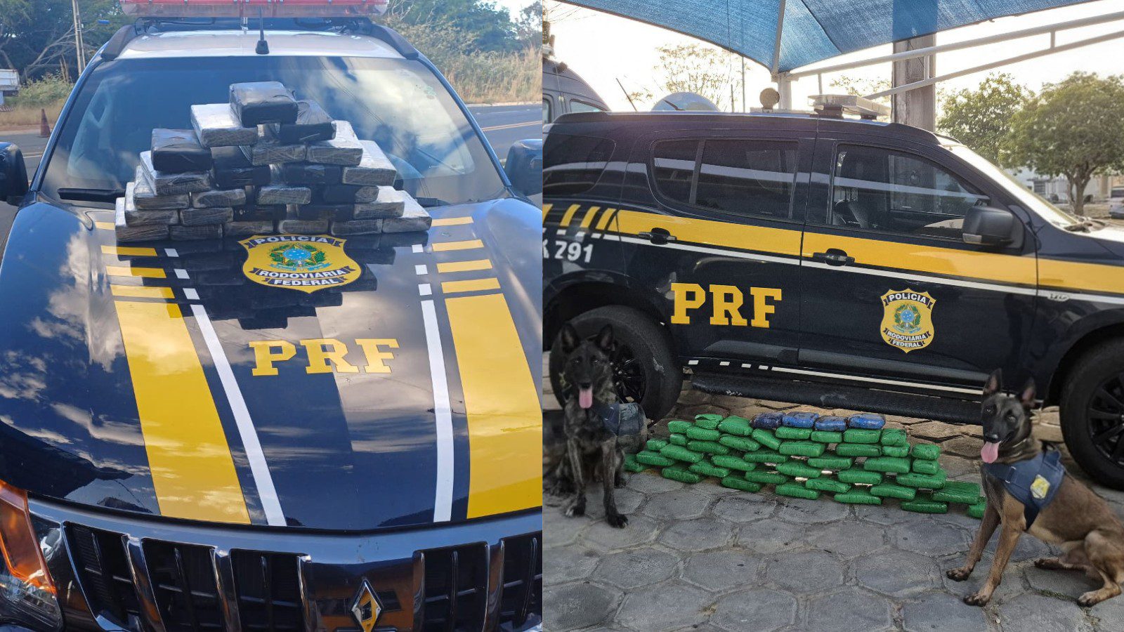 Quatro suspeitos de tráfico de drogas são presos com mais de 65 kg de maconha e cocaína na BR-316 no PI