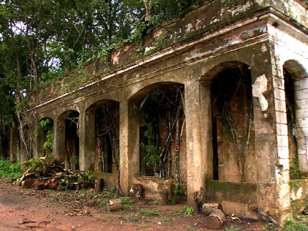 ‘A Casa Verde’: roteiro amazônico inspirado em Machado de Assis está em desenvolvimento