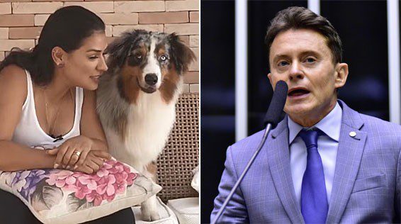 Entenda como a briga por um cão fujão de Simone Mendes revelou emenda parlamentar para condomínio de luxo em SP