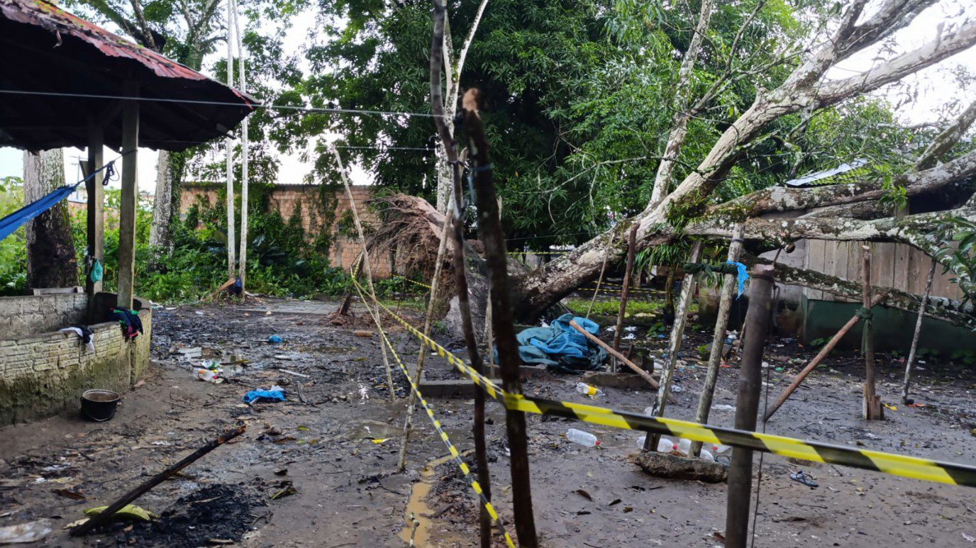 Temporal em Barcelos derruba árvore sobre alojamento improvisado de indígenas Yanomami