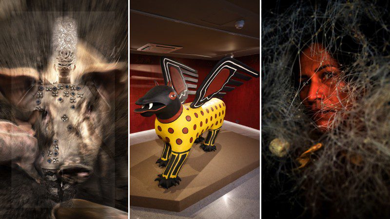 Últimos dias! Exposições no Espaço Cultural Unifor ficam em cartaz até domingo