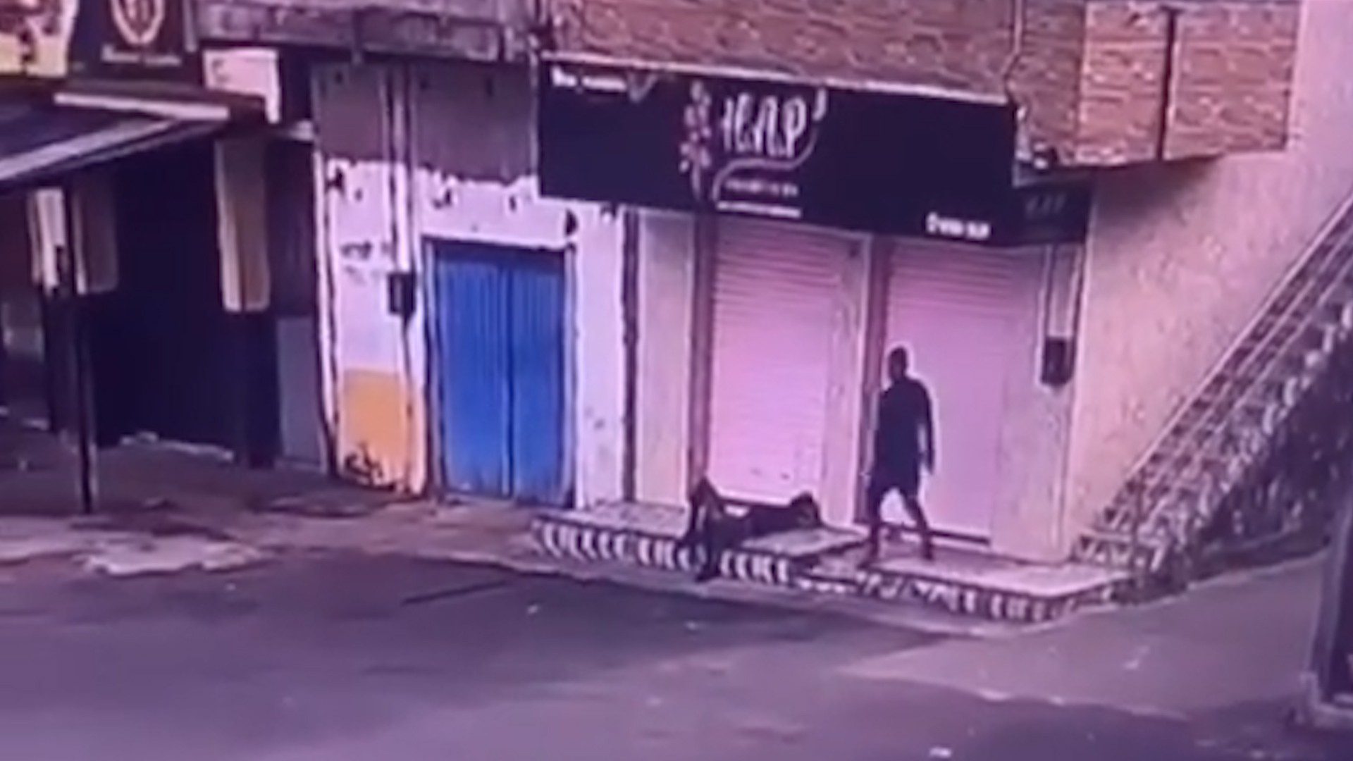 VÍDEO: Homem é morto a tiros na região do Coroadinho, em São Luís; vítima estava deitada em calçada na hora do crime
