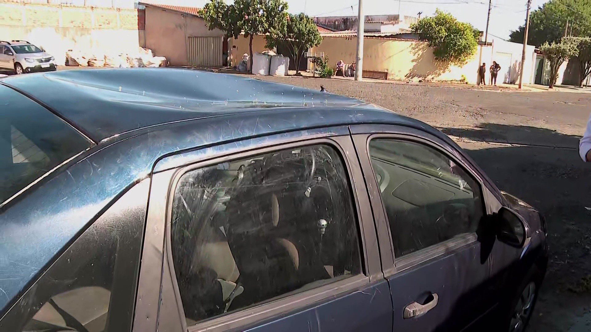 ‘Não tinha muito o que fazer’, diz adolescente que subiu em carro para se proteger de cão ‘em fúria’ no interior de SP