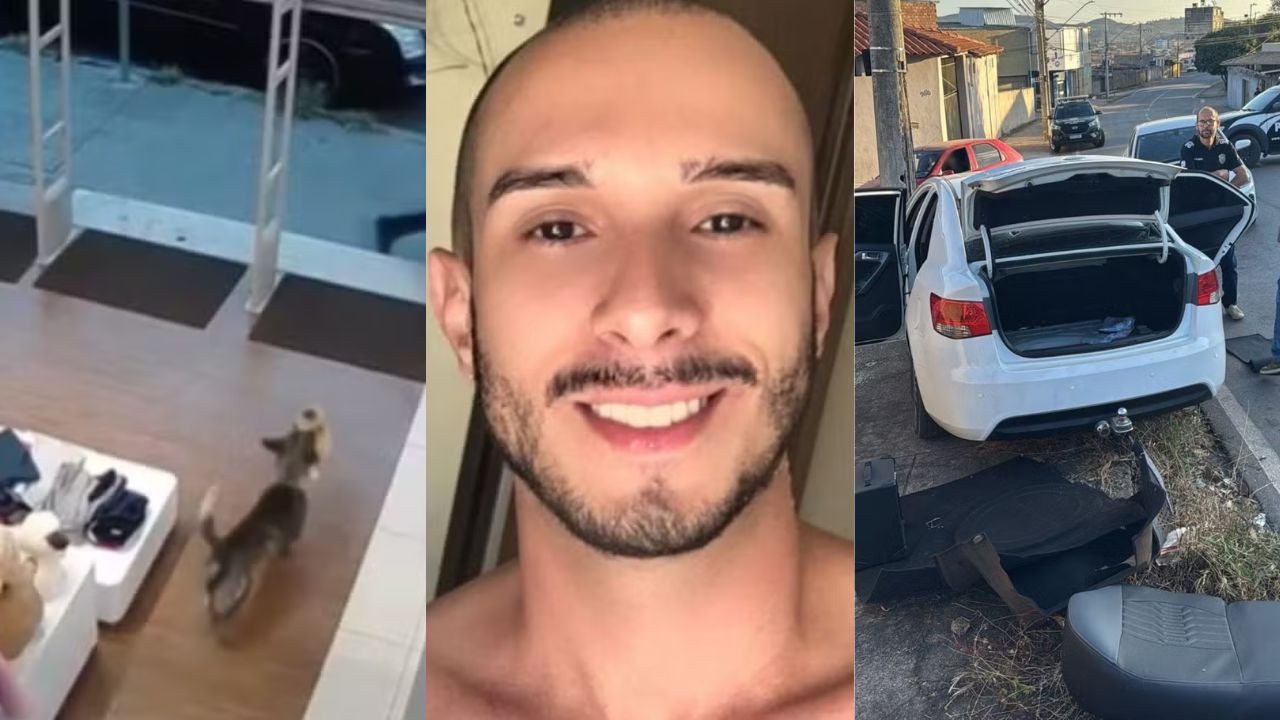 Você viu? Cachorro ‘furta’ ursinho de pelúcia em loja, morte de professor premeditada pelo ex-noivo e fuga com carro clonado termina em acidente