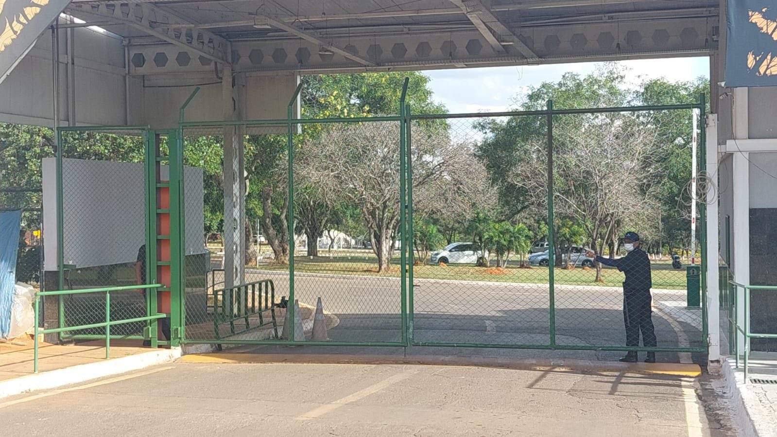 Gripe aviária: laudo confirma caso em emu do Zoológico de Brasília
