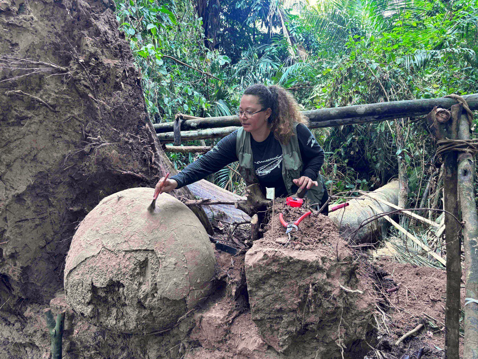 Vídeos inéditos mostram retirada de urnas milenares encontradas após queda de árvore no Amazonas