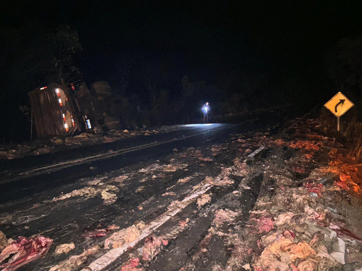 Ônibus com passageiros sai da pista após carreta carregada com restos de gado tombar na TO-134