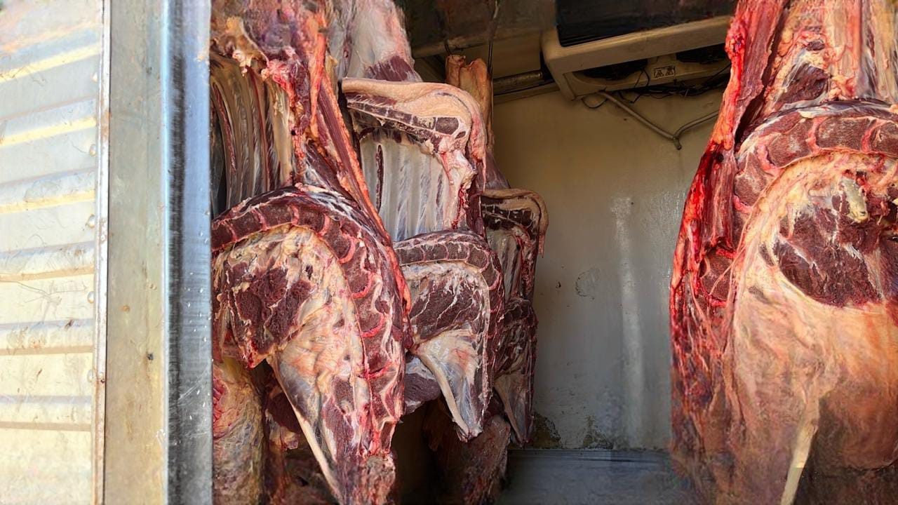 Polícia apreende quase 800 quilos de carne em abatedouro clandestino em Pará de Minas